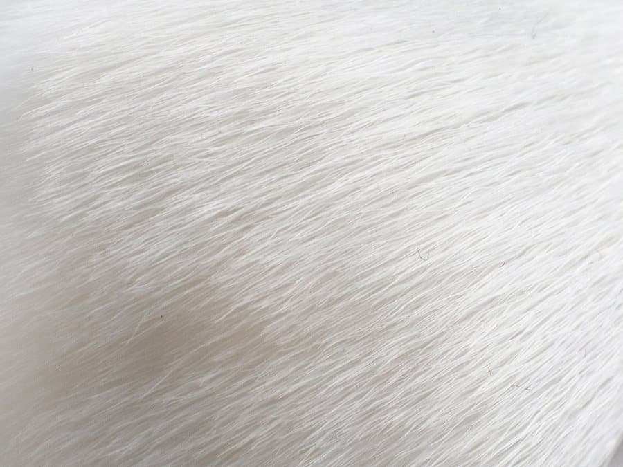 Macro van de witte vezels van een byMANI-kwast
