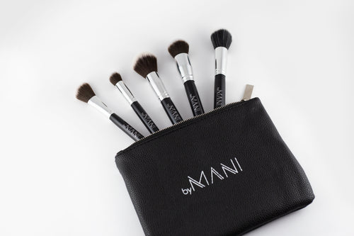 5-Piece Professional Black Make-up Brush Set with Clutch