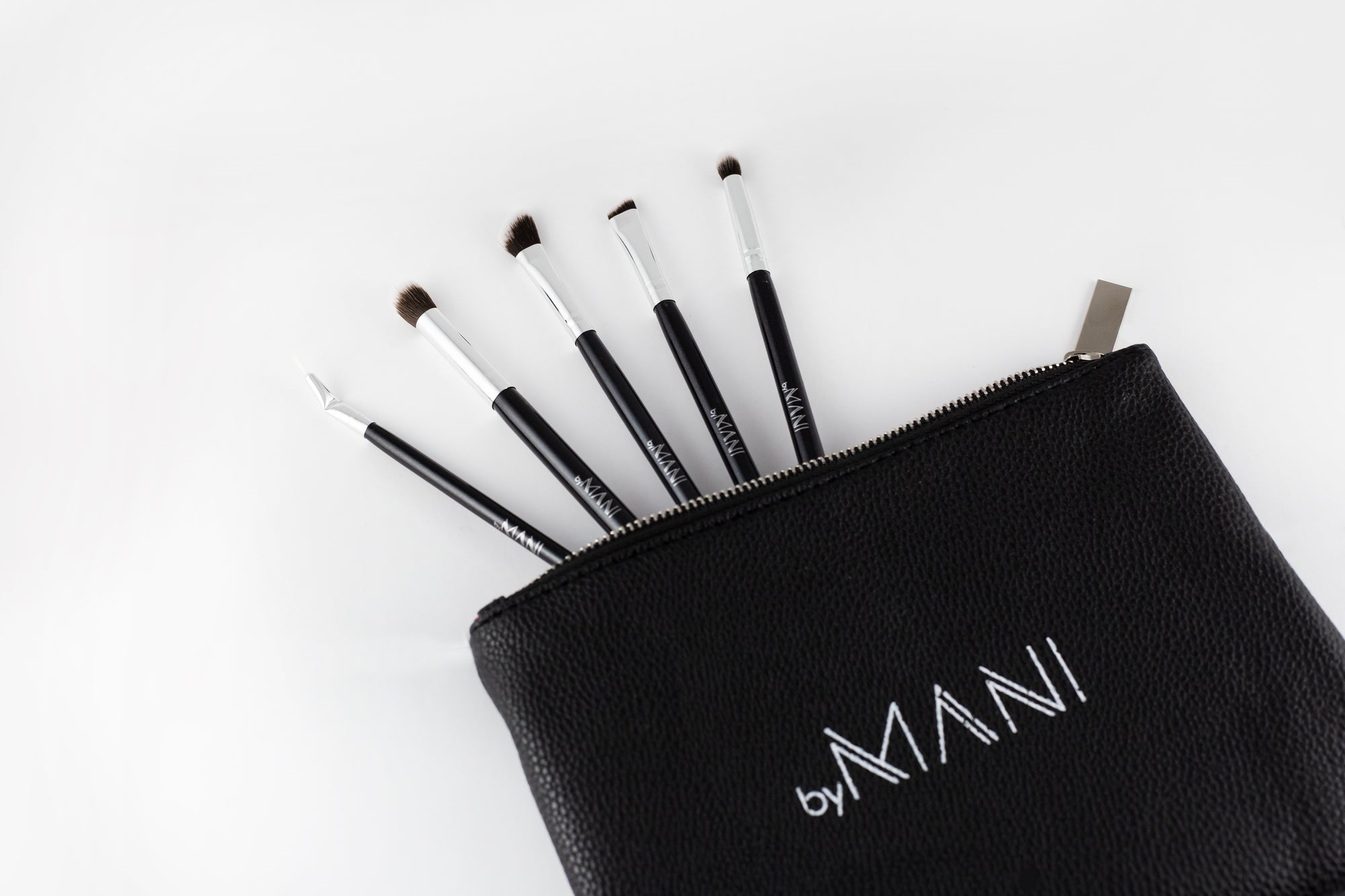 5-delige Professionele Oogmake-up Kwastenset – Zwart met Clutch
