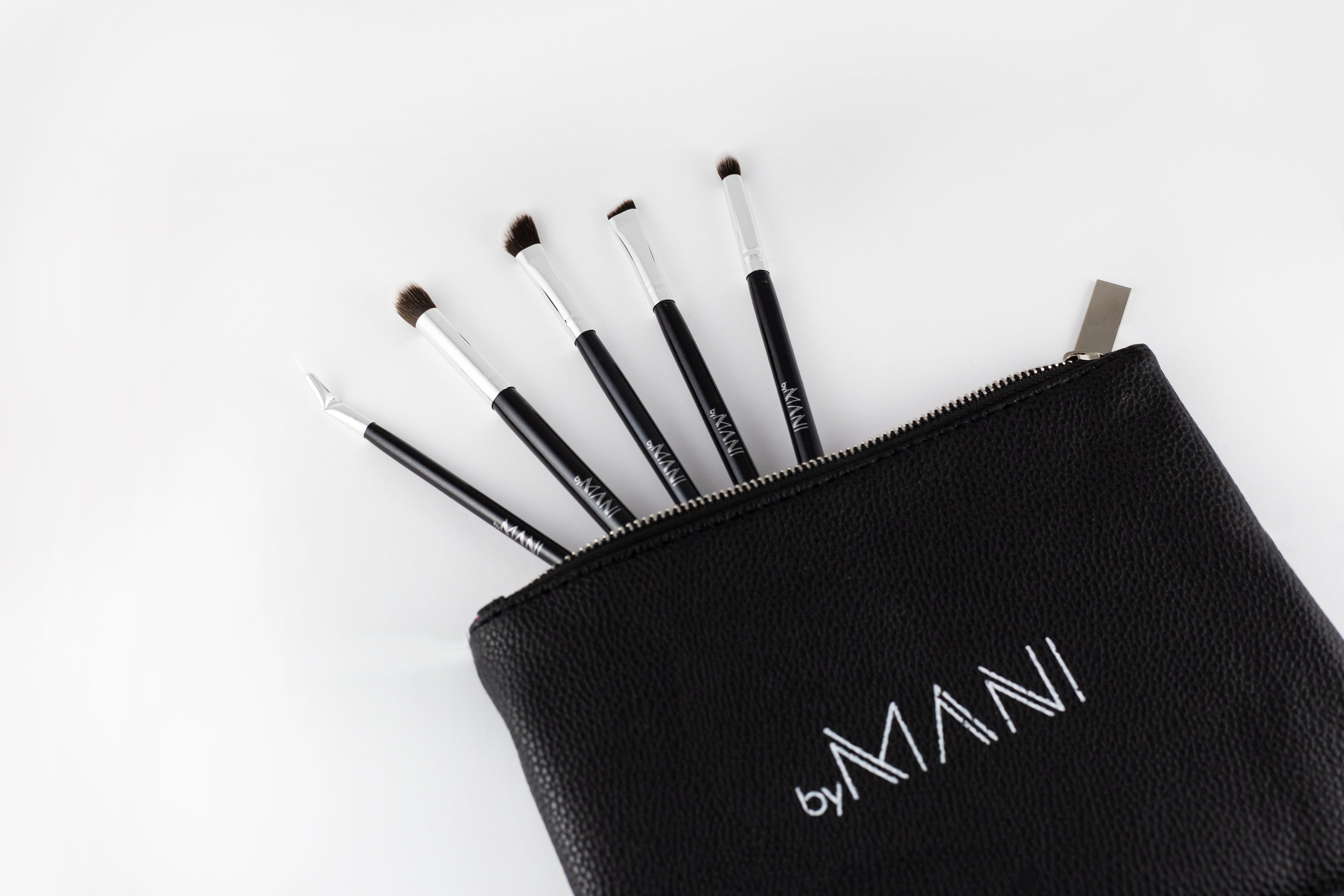 Make-up brush Set 5pcs professional black with clutch for eye