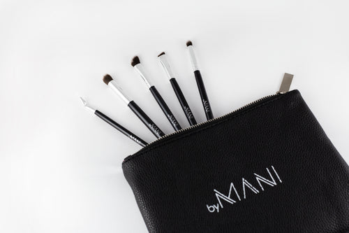 Make-up brush Set 5pcs professional black with clutch for eye