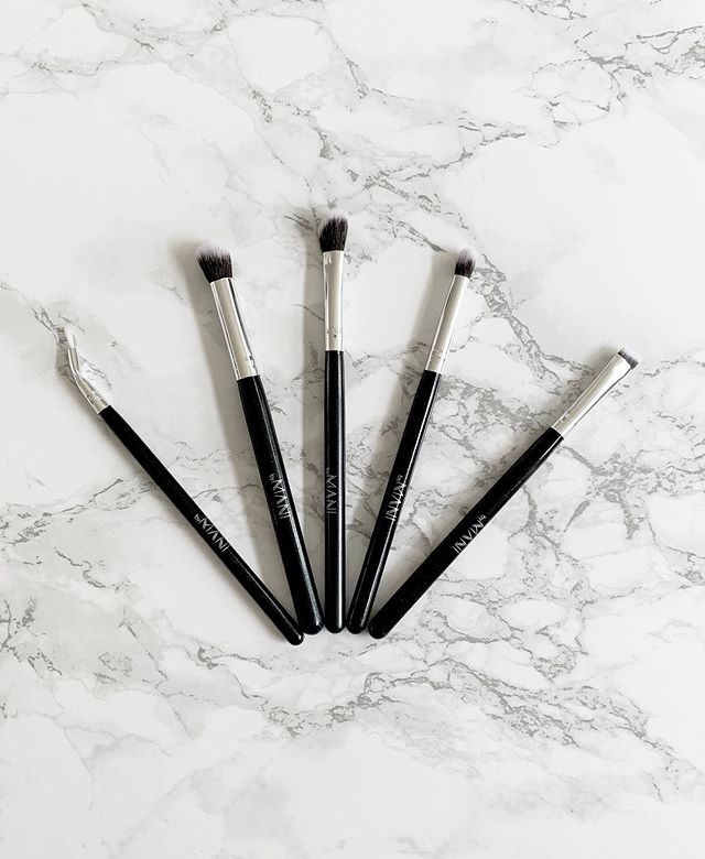 5-delige Professionele Oogmake-up Kwastenset – Zwart met Clutch
