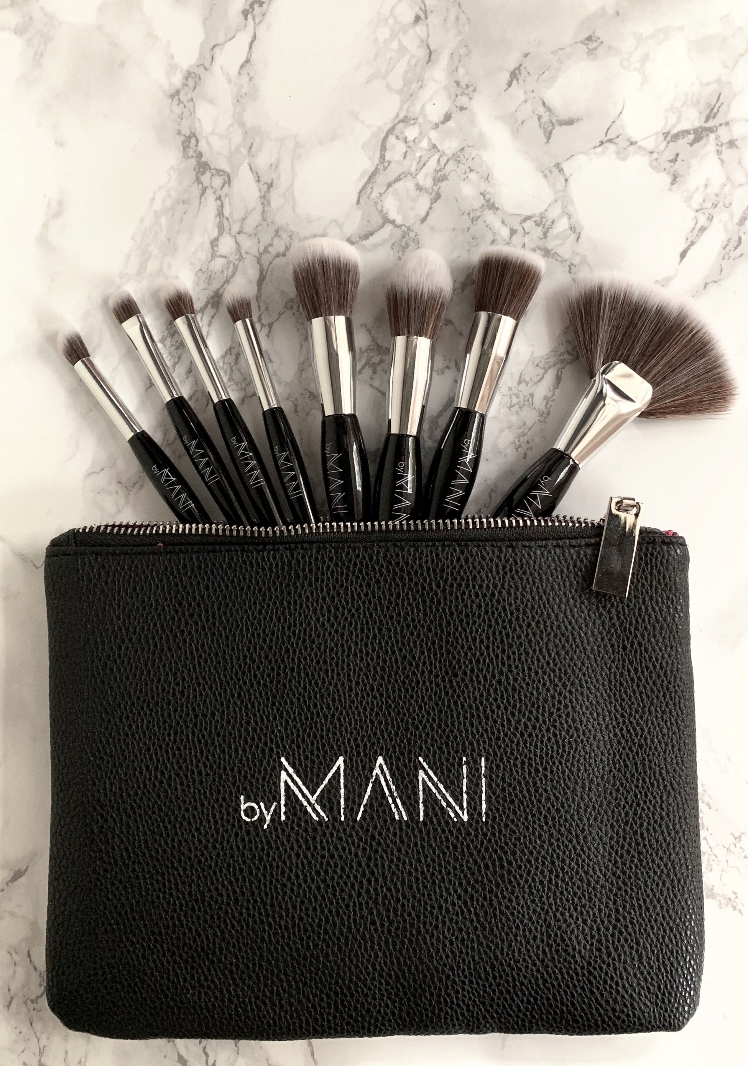 Make-up brush Set 8-pcs professional black and clutch
