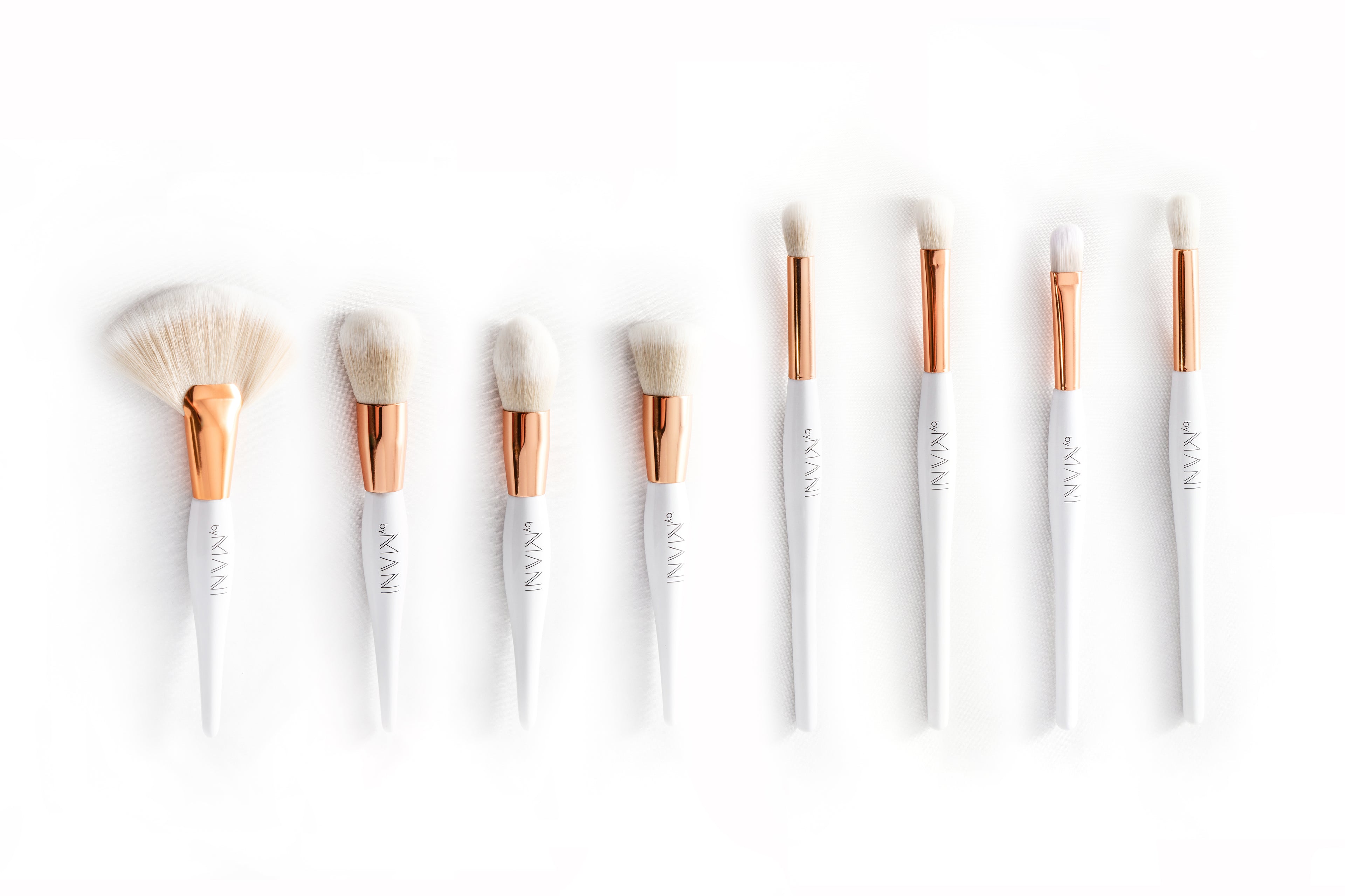 Make-up Brush Set 8pcs professional white and Clutch
