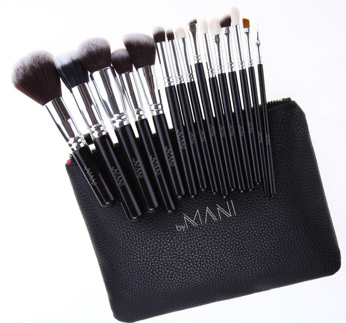 Make-up brush Set 15pcs professional black and clutch