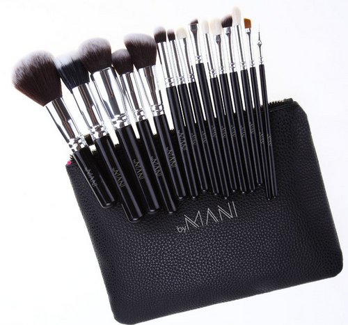 Make-up brush Set 15pcs professional black and clutch