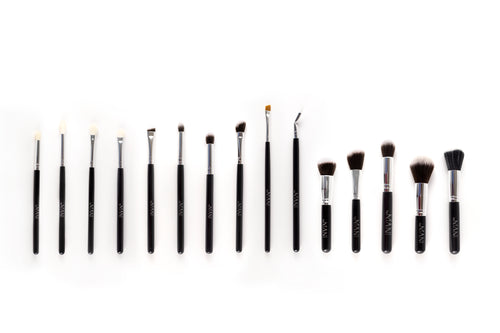 Make-up brush Set 15pcs professional black and clutch