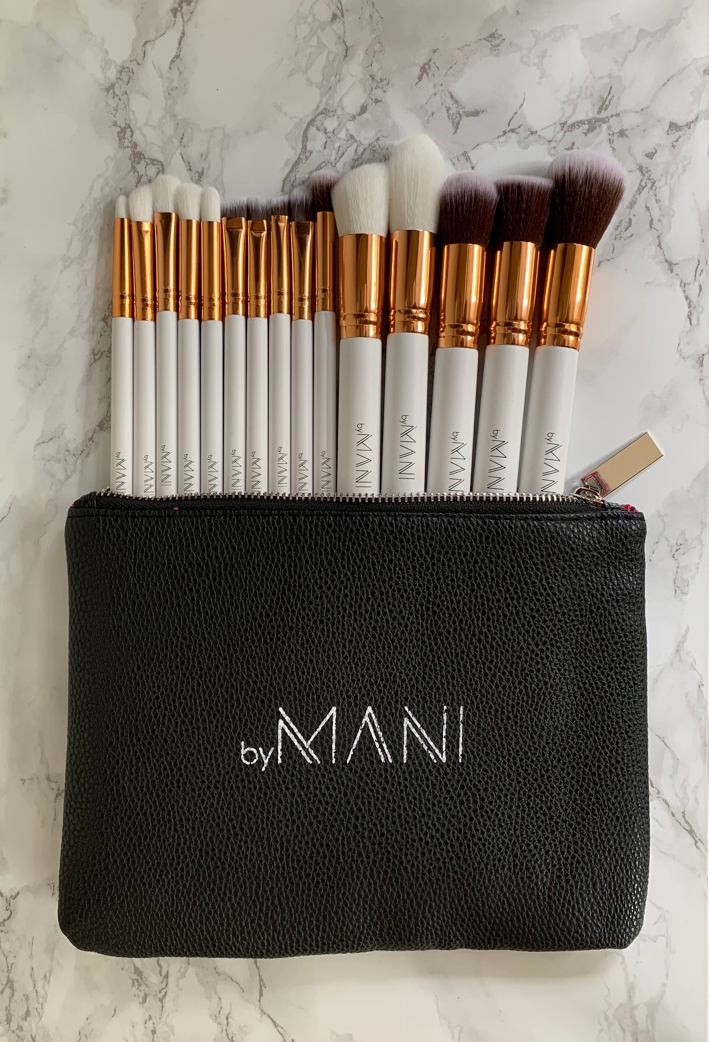 Make-up Brush Set 15pcs professional white and clutch