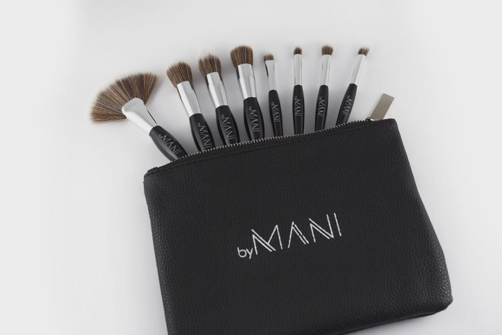 Make-up brush Set 8-pcs professional black and clutch
