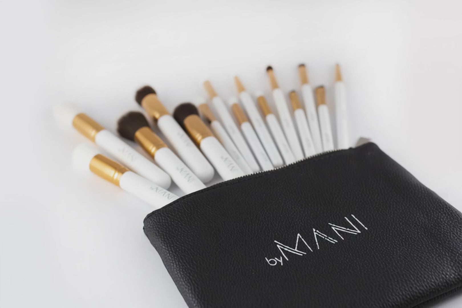 Make-up Brush Set 15pcs professional white and clutch