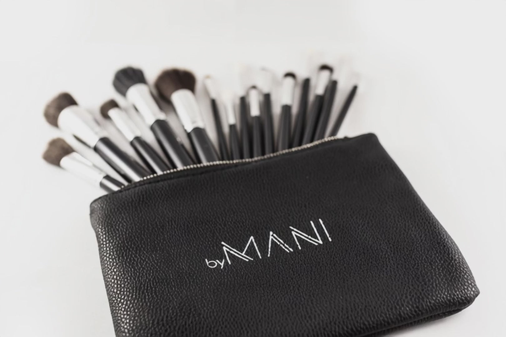Make-up brush Set 15pcs professional black and clutch